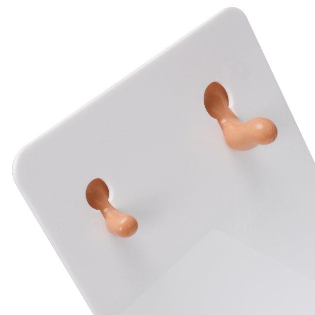 Ear Canal Irrigation Training Simulator Model
