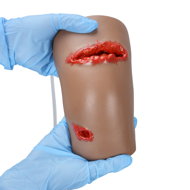 Knee Penetrating Injury & Hemostasis Training Model