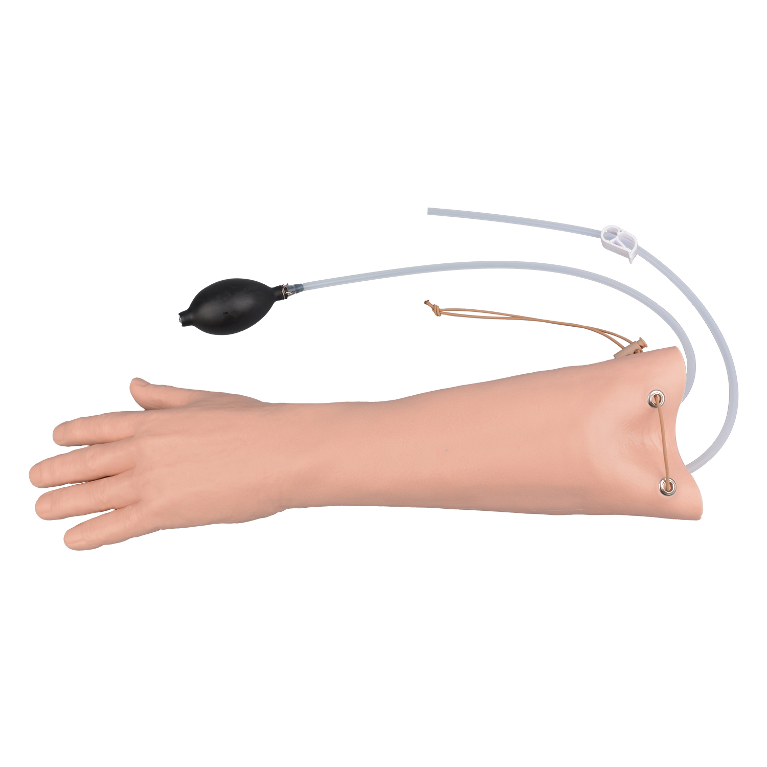 Short Radial & Ulnar Artery Puncture Simulator