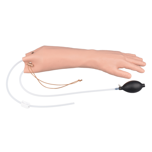 Short Radial & Ulnar Artery Puncture Simulator