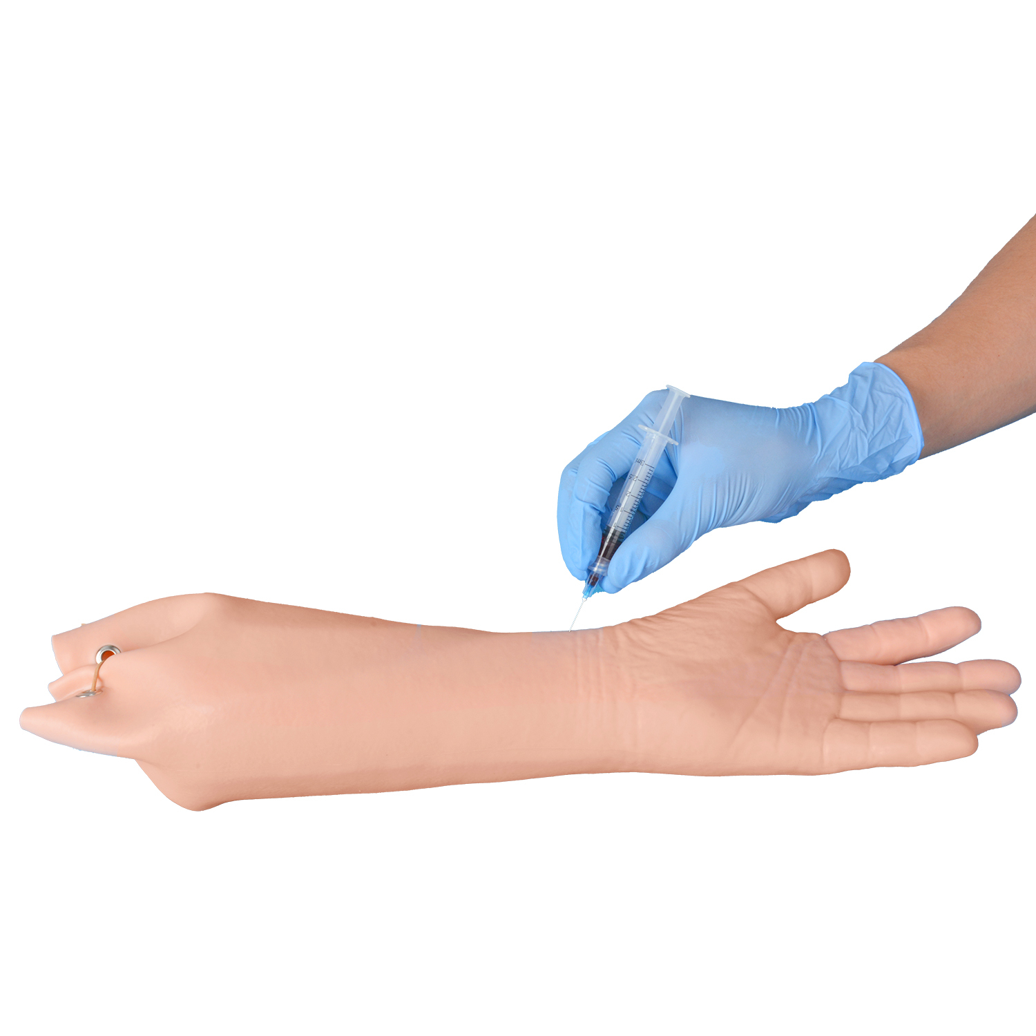 Short Radial & Ulnar Artery Puncture Simulator