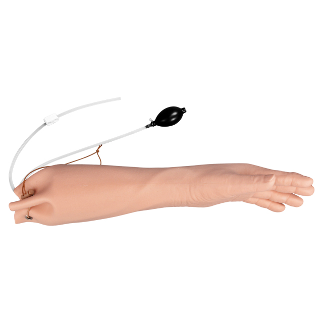 Short Radial & Ulnar Artery Puncture Simulator