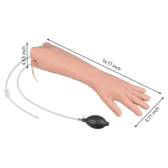 Short Radial & Ulnar Artery Puncture Simulator