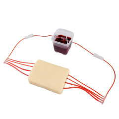 4-Vessel Ultrasound Vascular Access Phantom Training Kit