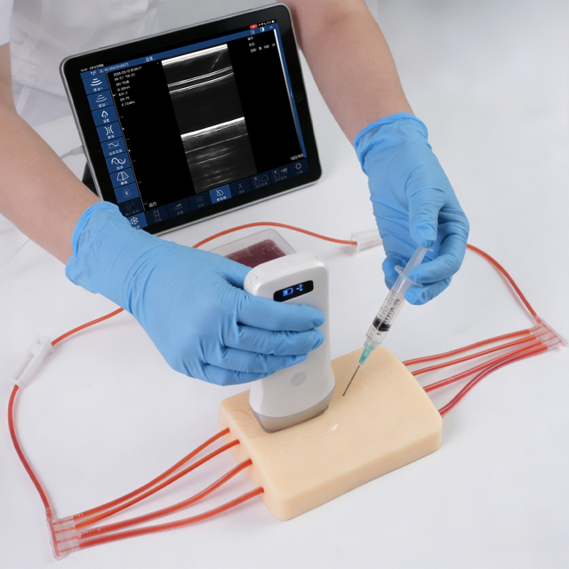4-Vessel Ultrasound Vascular Access Phantom Training Kit