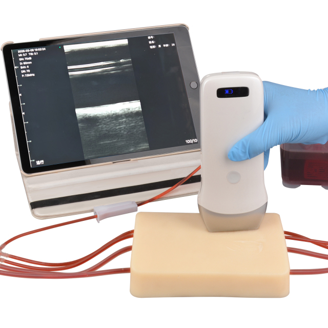 4-Vessel Ultrasound Vascular Access Phantom Training Kit