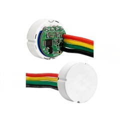 Flush Diaphragm Piezoresistive Ceramic Digital Output Sensing Module, High Accuracy, Anti-Corrosive,  Wide Temperature Compensation, Process Control (Chemical / Food / Pharmaceutical), RS18635MZD / RS18350MZD