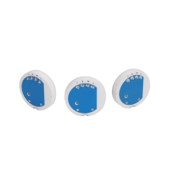 φ21mm Flush Diaphragm Piezoresistive Ceramic Pressure Sensor Cells, High Accuracy, Level Measurement,φ21mm Size,RS214A