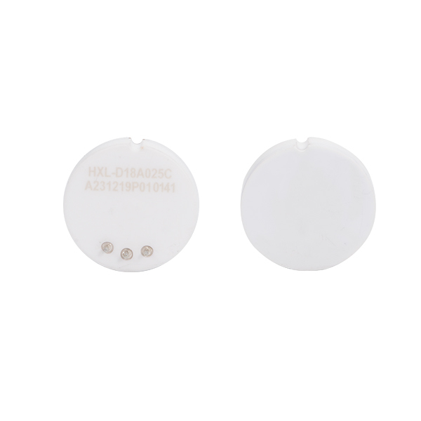 Ceramic Capacitive Pressure Sensor, Anti-Corrosive, High Stability, Wide Temperature Range, Liquid Level / Immersion Level Measurement, D21A/D18A