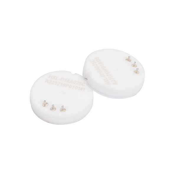 Ceramic Capacitive Pressure Sensor, Anti-Corrosive, High Stability, Wide Temperature Range, Liquid Level / Immersion Level Measurement, D21A/D18A