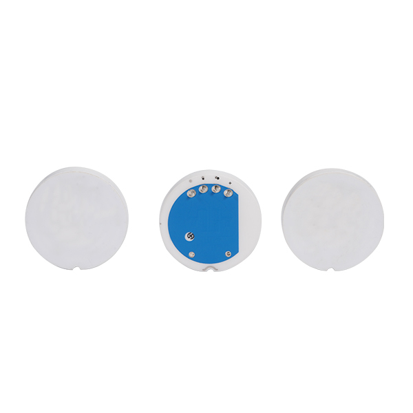 φ21mm Flush Diaphragm Piezoresistive Ceramic Pressure Sensor Cells, High Accuracy, Level Measurement,φ21mm Size,RS214A