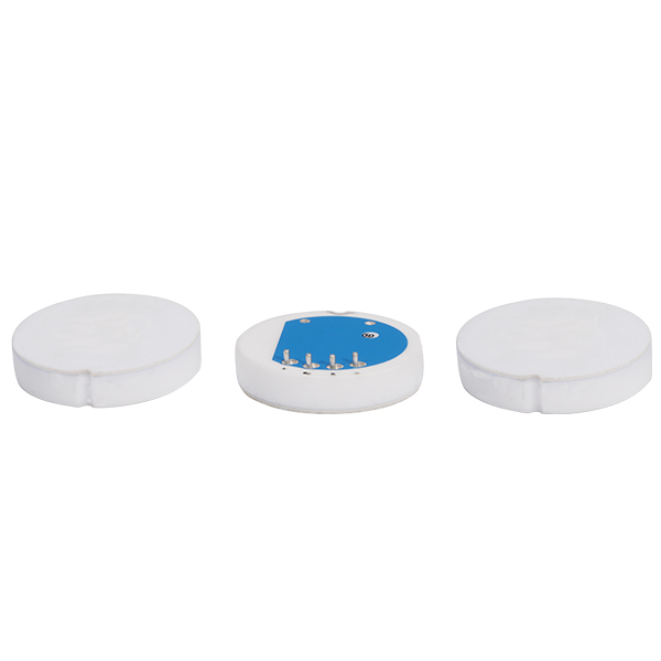 φ21mm Flush Diaphragm Piezoresistive Ceramic Pressure Sensor Cells, High Accuracy, Level Measurement,φ21mm Size,RS214A
