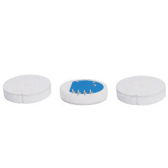 φ21mm Flush Diaphragm Piezoresistive Ceramic Pressure Sensor Cells, High Accuracy, Level Measurement,φ21mm Size,RS214A
