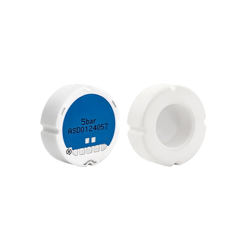 Monolithic Piezoresistive Ceramic Pressure Sensor, Gauge Pressure & Temperature Combined Measurement, Oil & Gas Industry, CPS18635E/CPS18350E