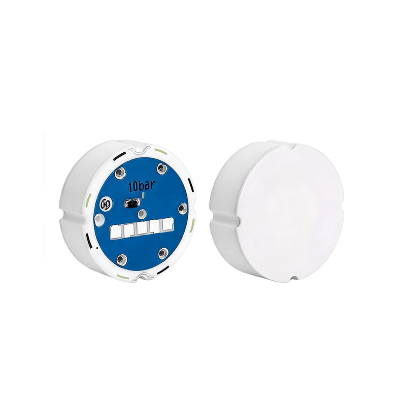 φ18mm Combined Pressure & Temperature Flush Diaphragm Piezoresistive Ceramic Pressure Sensor, Ideal for Pumps, Hydraulics, HVAC & Smart Industrial IoT，RS186A