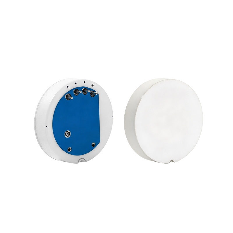 φ21mm Flush Diaphragm Piezoresistive Ceramic Pressure Sensor Cells, High Accuracy, Level Measurement,φ21mm Size,RS214A