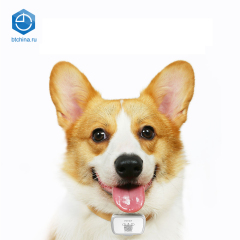 Pet research, интеллектуальная навигационная навигация, 30 дней на перелёт