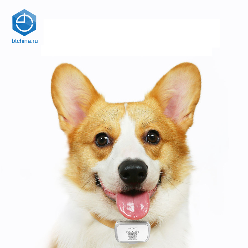Pet research, интеллектуальная навигационная навигация, 30 дней на перелёт