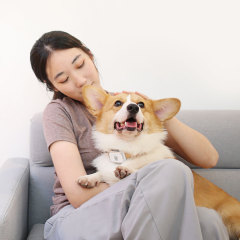 Pet research, интеллектуальная навигационная навигация, 30 дней на перелёт