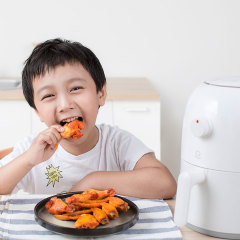 Жареная фритюрница без жаровни, обезжиренная, без внутренней желчи