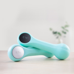 Смарт гантели 0,5 кг