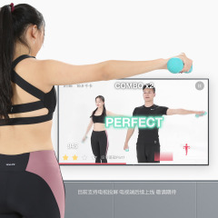 Смарт гантели 0,5 кг