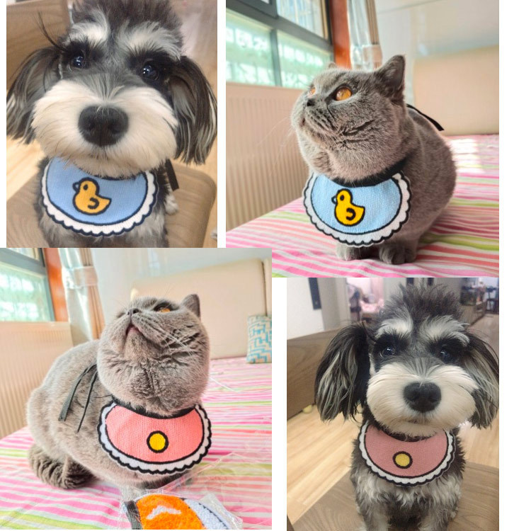 韩国可爱宠物猫咪口水巾狗狗圣诞新年节日围脖衣服加菲猫柴犬用品