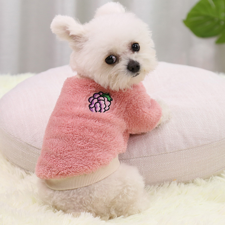秋冬保暖两脚狗狗宠物用品猫咪衣服小中大狗犬泰迪新年装服饰