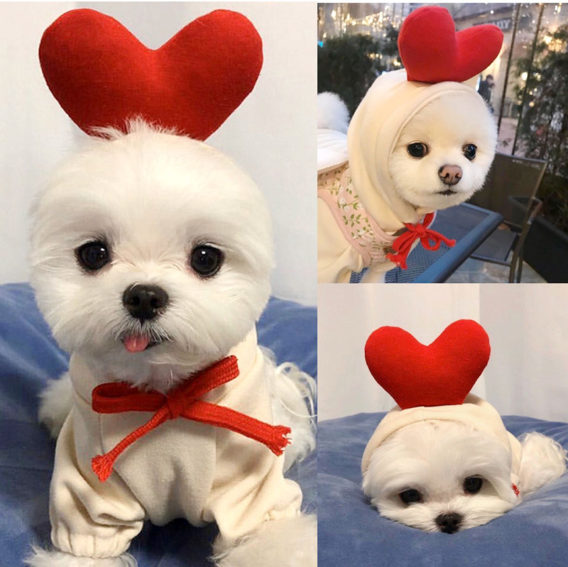 水果变身狗狗猫咪小中型犬秋冬卫衣抓绒衣服用品宠物泰迪法斗厂家