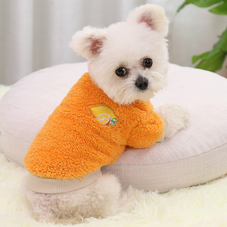 秋冬保暖两脚狗狗宠物用品猫咪衣服小中大狗犬泰迪新年装服饰