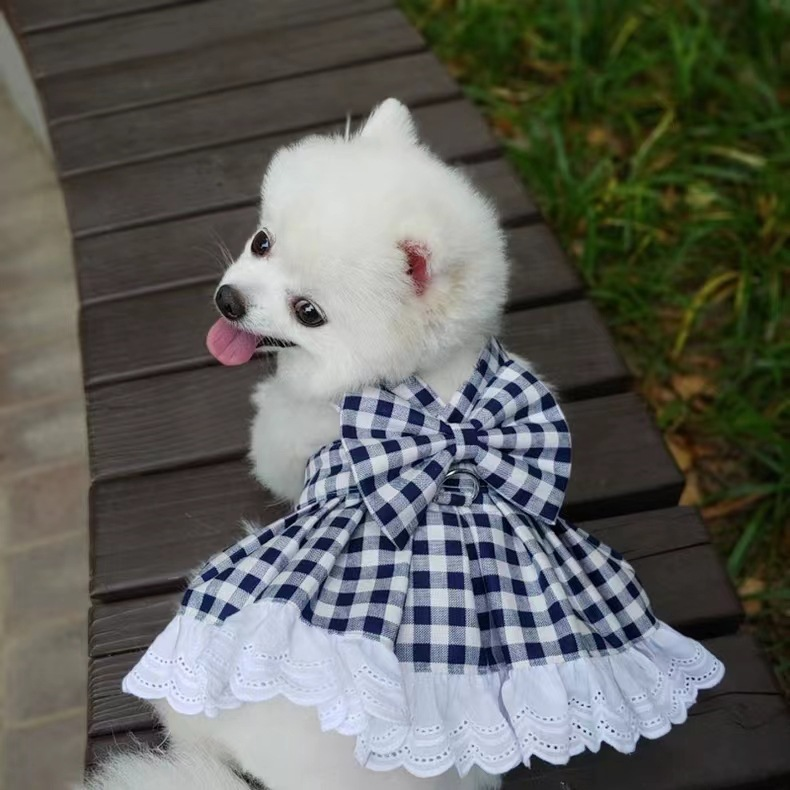 宠物JK格子裙子胸背带牵引绳遛狗狗猫咪背心衣服泰迪法斗用品厂家