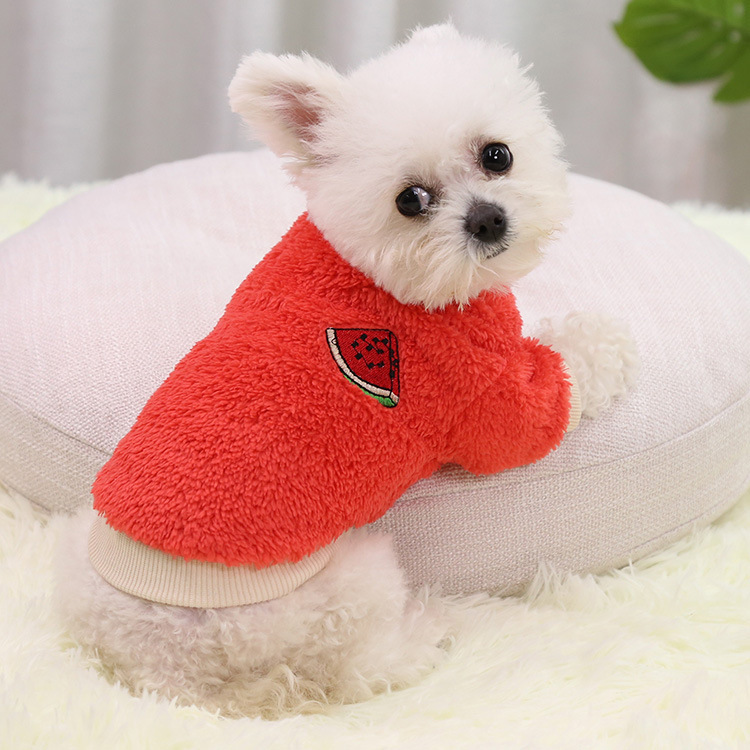 秋冬保暖两脚狗狗宠物用品猫咪衣服小中大狗犬泰迪新年装服饰