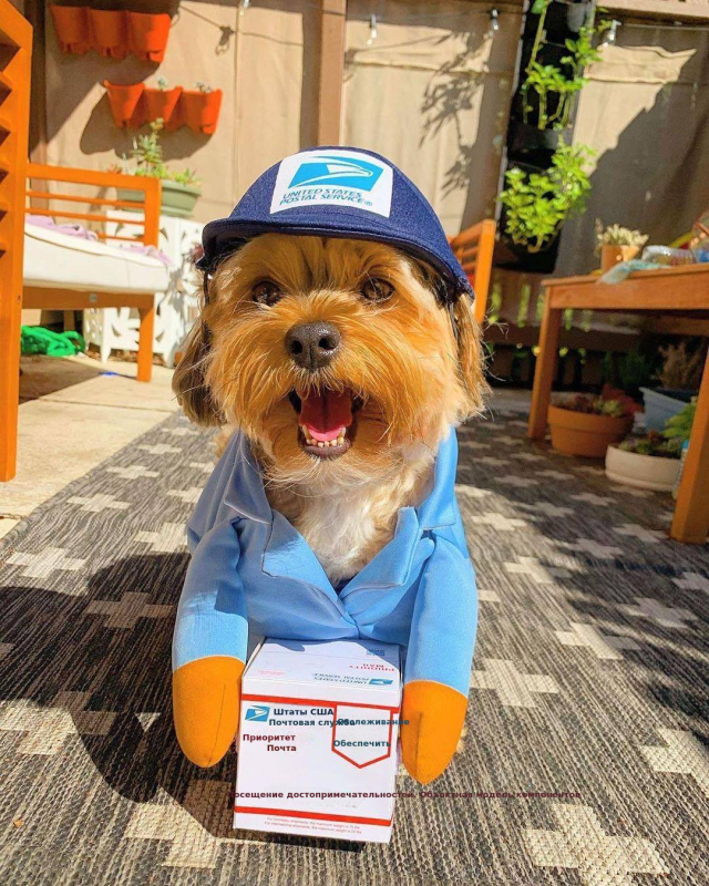 万圣节亚马逊拿刀娃娃小中型犬狗狗搞怪变身装猫咪宠物衣服用品