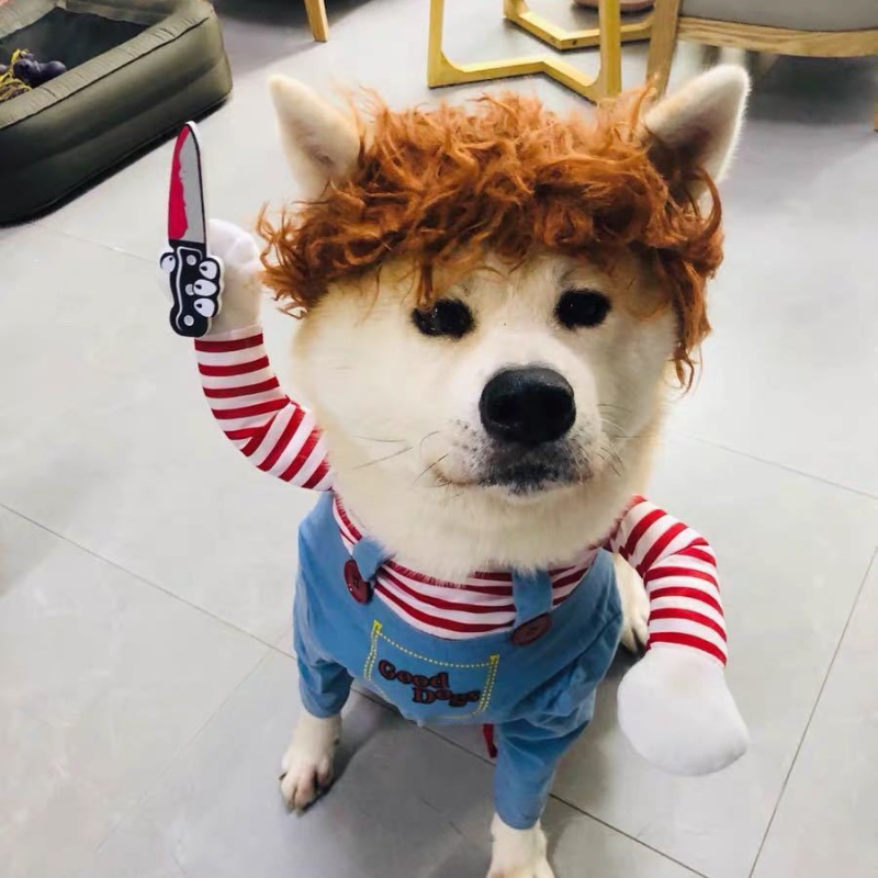 万圣节亚马逊拿刀娃娃小中型犬狗狗搞怪变身装猫咪宠物衣服用品