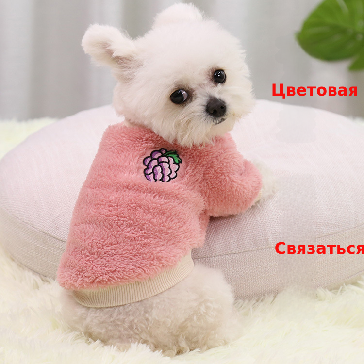 秋冬保暖两脚狗狗宠物用品猫咪衣服小中大狗犬泰迪新年装服饰