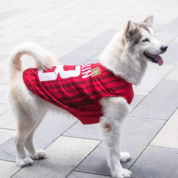 春夏大中小型犬金毛萨摩狗狗猫咪宠物网眼背心世界杯篮球衣服用品