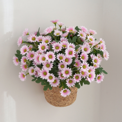 小雏菊仿真花束洋甘菊 婚庆家居装饰野菊花跳兰菊小清新假花绢花