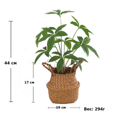跨境 仿真绿植发财树盆栽套装塑料花卉 假花落地室内摄影装饰摆件