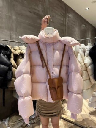 韩版长袖加厚连帽仿白鸭绒短款羽绒棉服女爆款小个外套2024冬外套