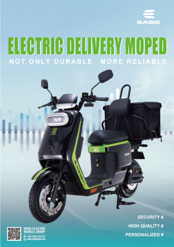 SAIGE Electric Vehicle