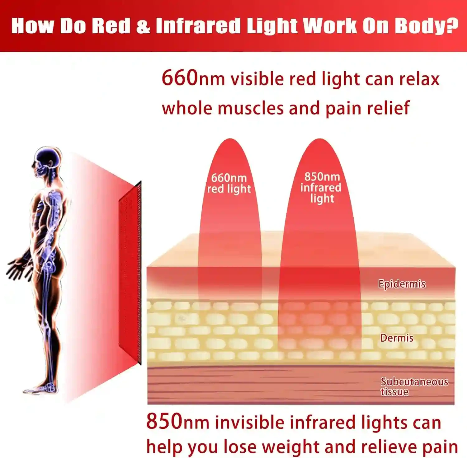 Custom Infrared Lamp 3000w PDT Machine 4 Wavelengths Light Therapy Panel
