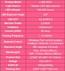 2024 New Red Light Full Body Therapy Bed Commercial Use