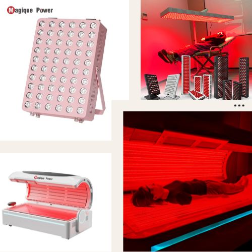 red light panel vs red light bed