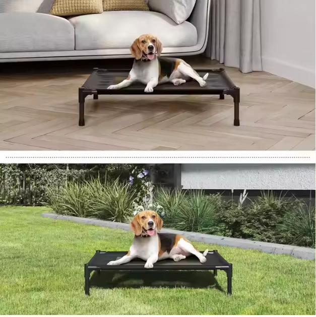 Elevated Dog bed