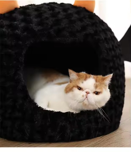 Halloween Cat Bed