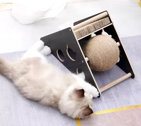 cat toy