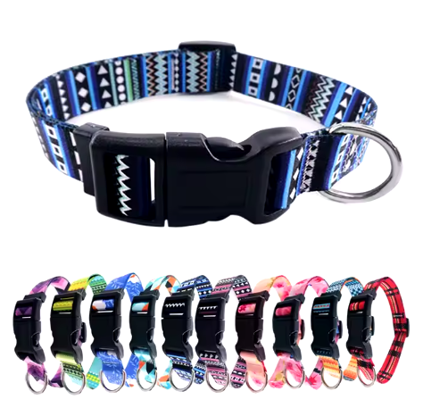 leashes