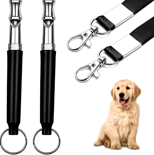 dog toy