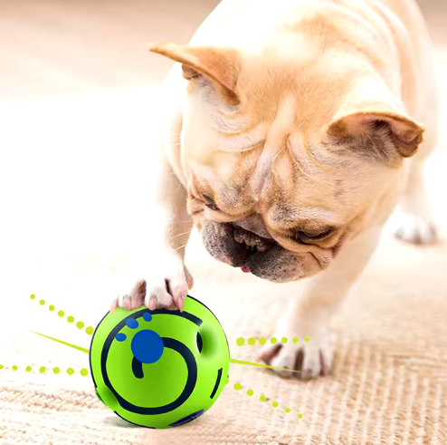 dog toy