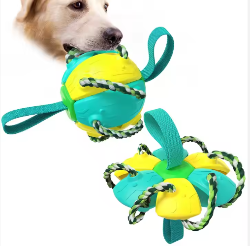 dog toy